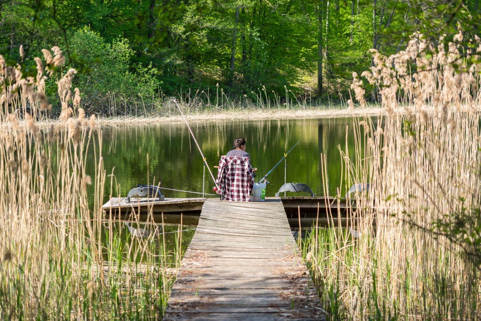 Osrodek Wypoczynkowy Camping Tumiany Exteriér fotografie